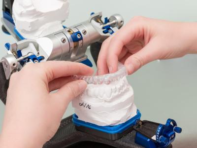 MFA testet Aligner an Gipsmodell